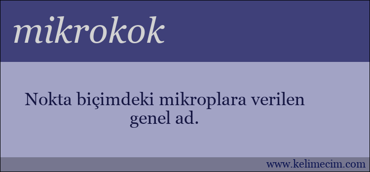 mikrokok kelimesinin anlamı ne demek?