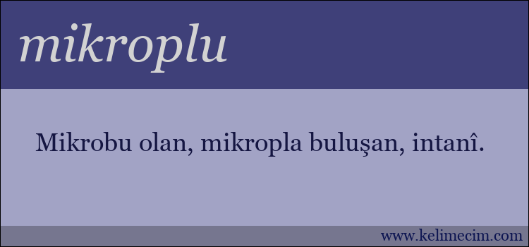 mikroplu kelimesinin anlamı ne demek?