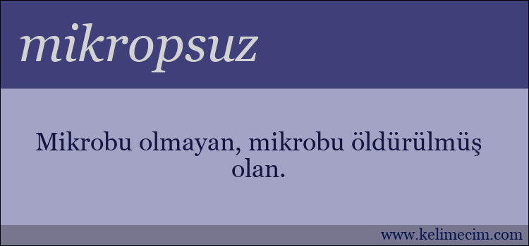 mikropsuz kelimesinin anlamı ne demek?