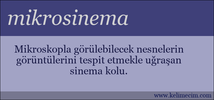 mikrosinema kelimesinin anlamı ne demek?