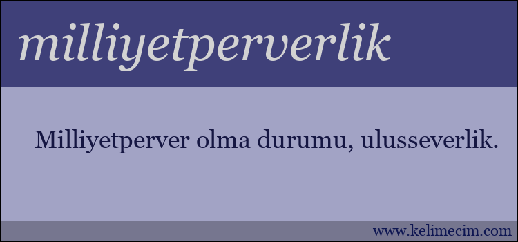 milliyetperverlik kelimesinin anlamı ne demek?