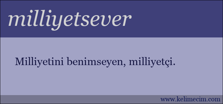 milliyetsever kelimesinin anlamı ne demek?