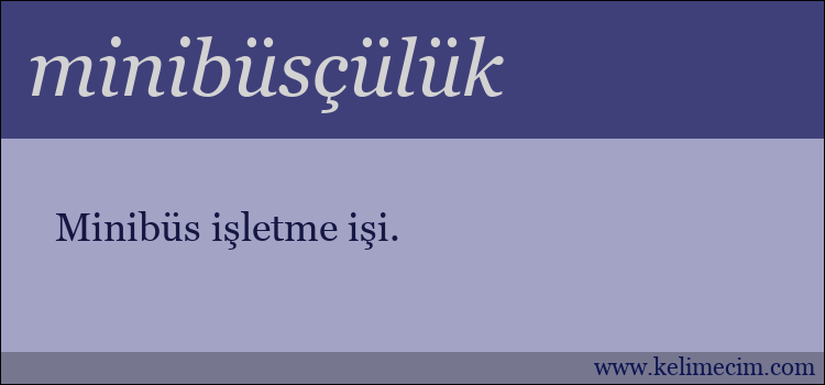 minibüsçülük kelimesinin anlamı ne demek?