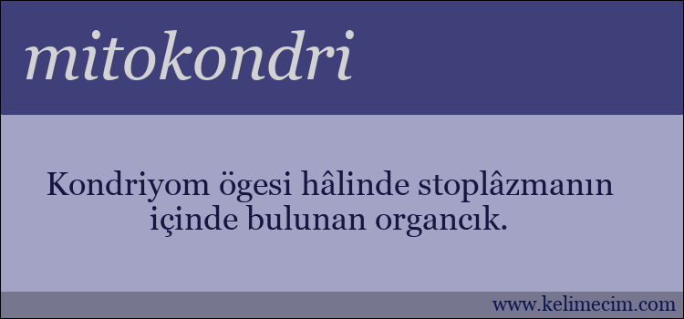 mitokondri kelimesinin anlamı ne demek?