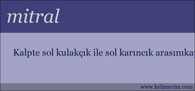 mitral kelimesinin anlamı ne demek?