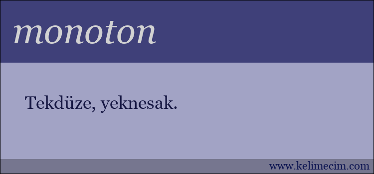 monoton kelimesinin anlamı ne demek?