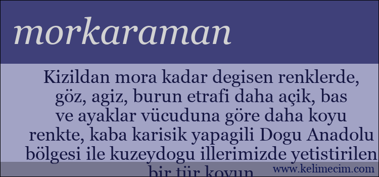 morkaraman kelimesinin anlamı ne demek?