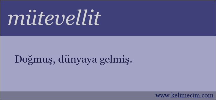 mütevellit kelimesinin anlamı ne demek?