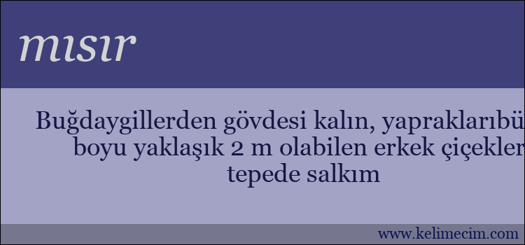 mısır kelimesinin anlamı ne demek?