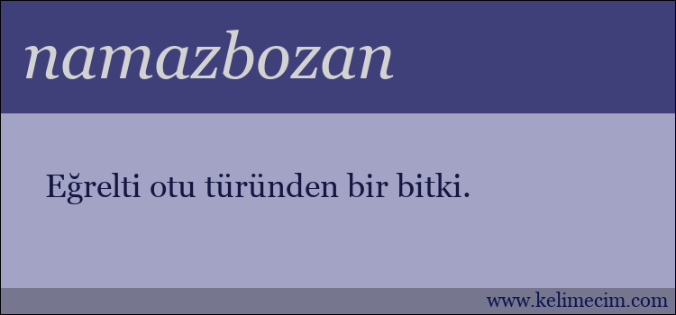 namazbozan kelimesinin anlamı ne demek?