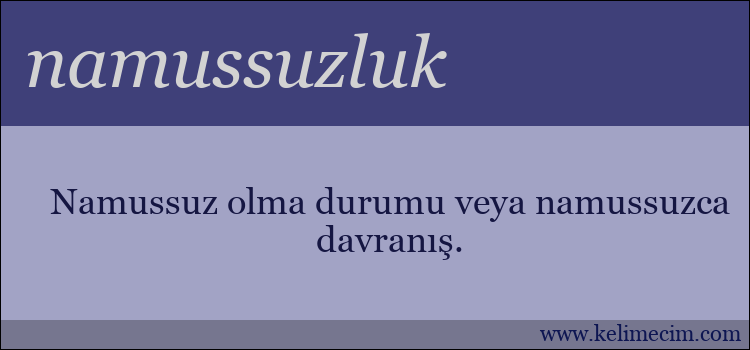 namussuzluk kelimesinin anlamı ne demek?