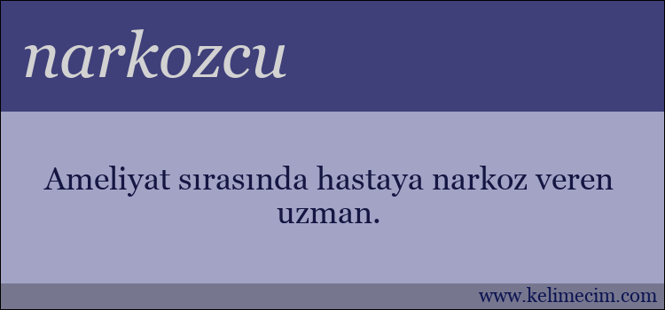 narkozcu kelimesinin anlamı ne demek?