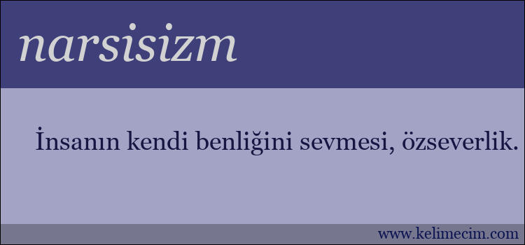 narsisizm kelimesinin anlamı ne demek?