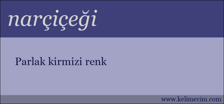 narçiçeği kelimesinin anlamı ne demek?