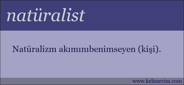 natüralist kelimesinin anlamı ne demek?