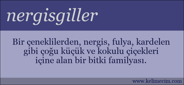 nergisgiller kelimesinin anlamı ne demek?