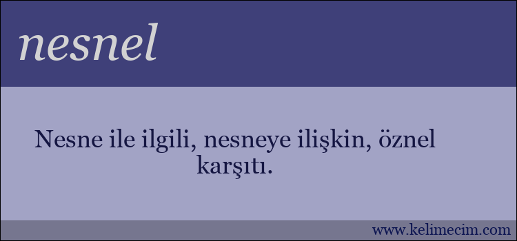 nesnel kelimesinin anlamı ne demek?