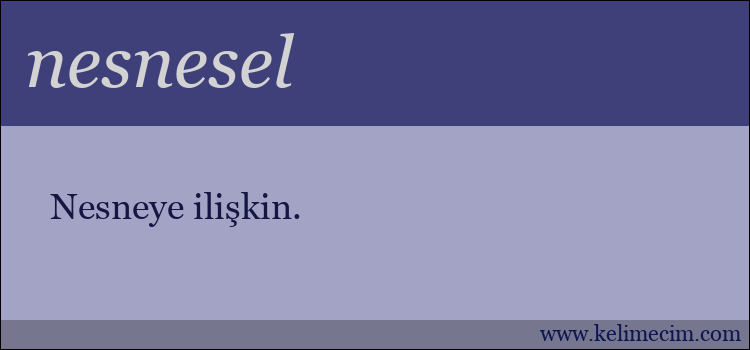 nesnesel kelimesinin anlamı ne demek?