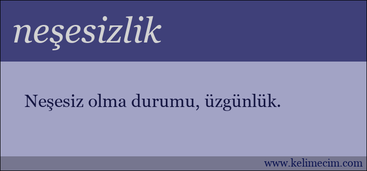 neşesizlik kelimesinin anlamı ne demek?