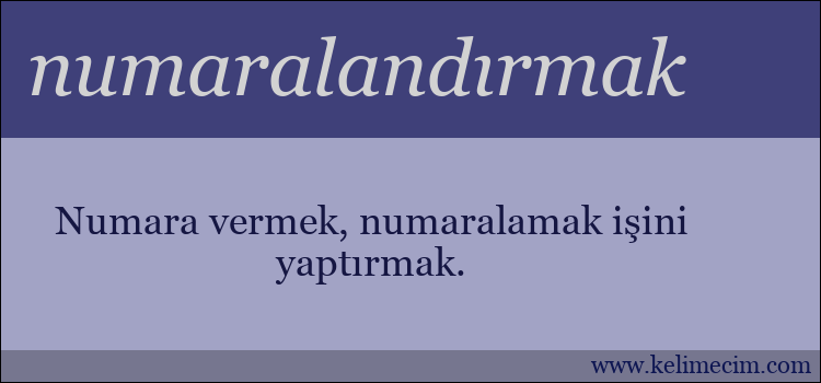 numaralandırmak kelimesinin anlamı ne demek?