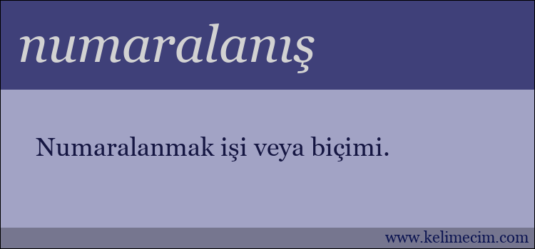 numaralanış kelimesinin anlamı ne demek?