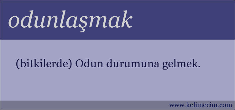 odunlaşmak kelimesinin anlamı ne demek?