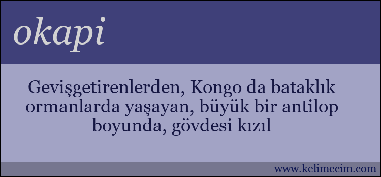 okapi kelimesinin anlamı ne demek?