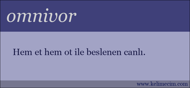 omnivor kelimesinin anlamı ne demek?