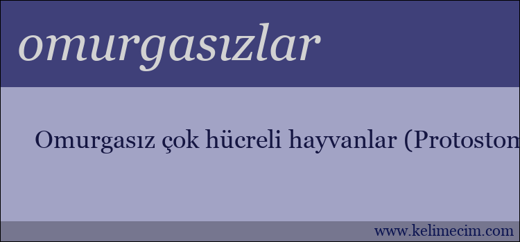 omurgasızlar kelimesinin anlamı ne demek?