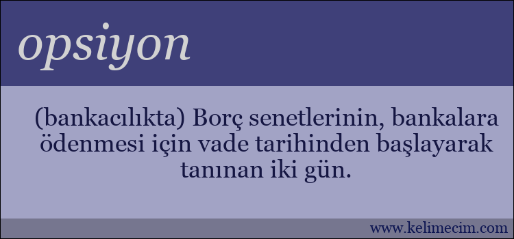 opsiyon kelimesinin anlamı ne demek?