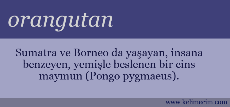 orangutan kelimesinin anlamı ne demek?