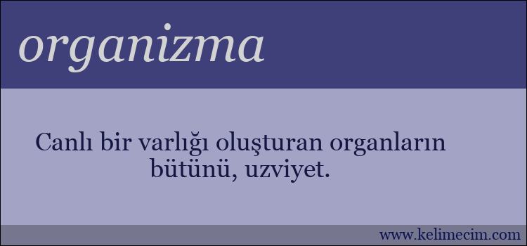 organizma kelimesinin anlamı ne demek?