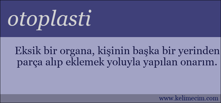 otoplasti kelimesinin anlamı ne demek?