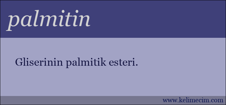 palmitin kelimesinin anlamı ne demek?