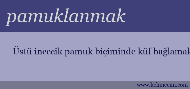 pamuklanmak kelimesinin anlamı ne demek?