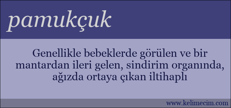 pamukçuk kelimesinin anlamı ne demek?