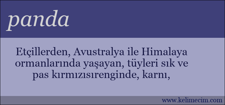 panda kelimesinin anlamı ne demek?