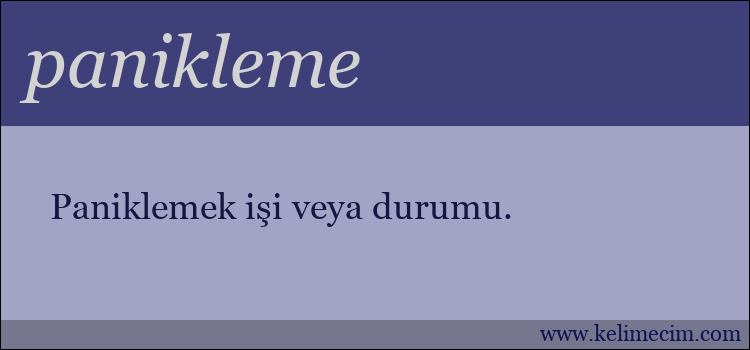 panikleme kelimesinin anlamı ne demek?