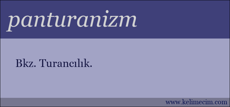 panturanizm kelimesinin anlamı ne demek?