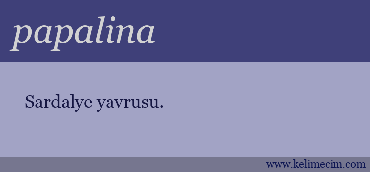 papalina kelimesinin anlamı ne demek?