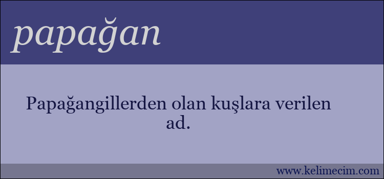 papağan kelimesinin anlamı ne demek?