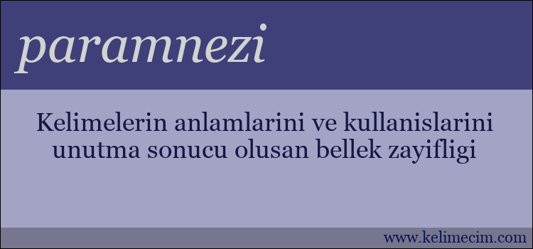 paramnezi kelimesinin anlamı ne demek?