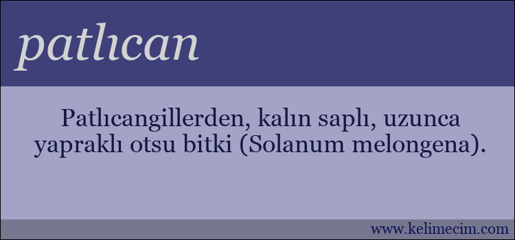 patlıcan kelimesinin anlamı ne demek?