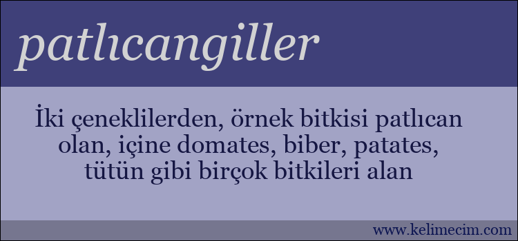 patlıcangiller kelimesinin anlamı ne demek?