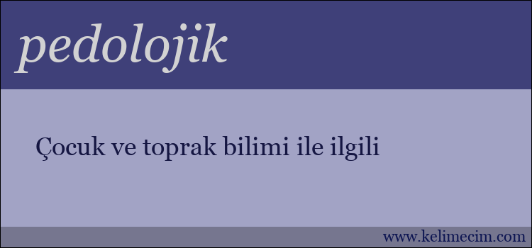 pedolojik kelimesinin anlamı ne demek?