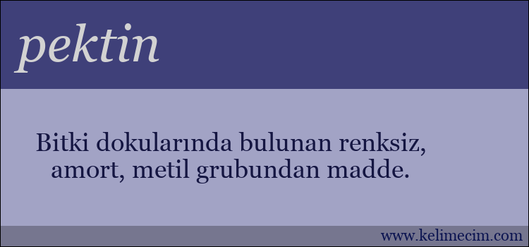 pektin kelimesinin anlamı ne demek?