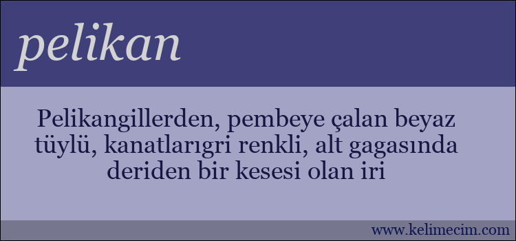 pelikan kelimesinin anlamı ne demek?