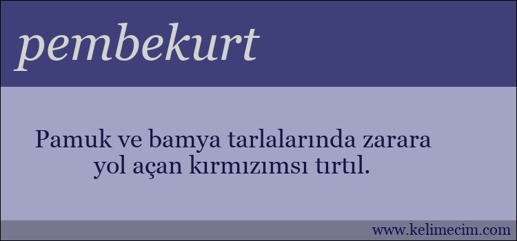 pembekurt kelimesinin anlamı ne demek?