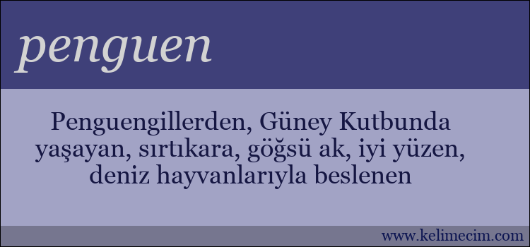 penguen kelimesinin anlamı ne demek?
