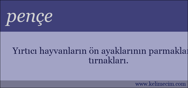 pençe kelimesinin anlamı ne demek?